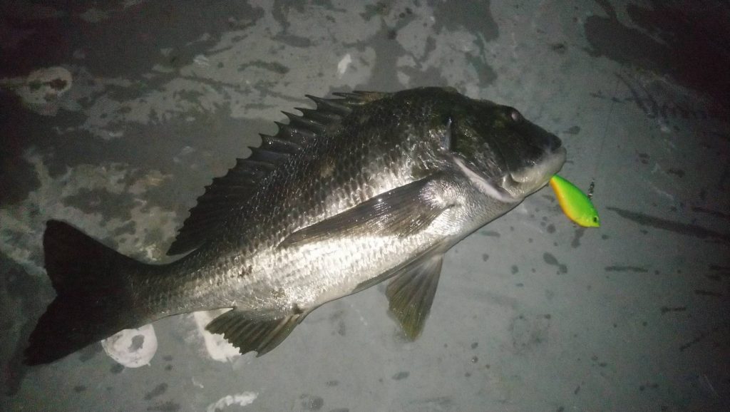 ダイソー　ルアー　釣具　バイブレーション