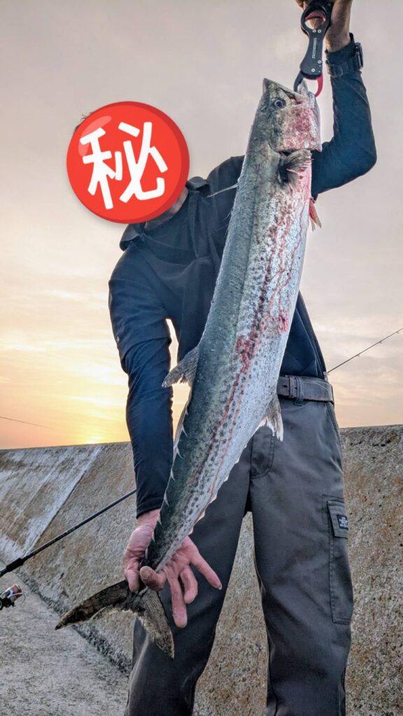 高松 G地区 サワラ 釣り2025年5月 ショアジギング