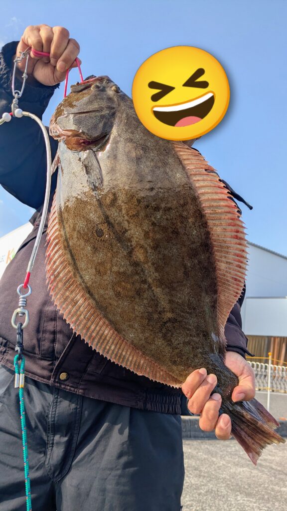 高松　G地区　ヒラメ　コノシロ泳がせ釣り　2025年12月